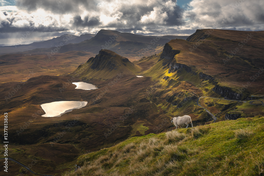 Autumn light bathes the Quiraing on Skye, casting long shadows over its dramatic cliffs and rolling hills. The landscape glows with golden hues, a breathtaking Highland scene.