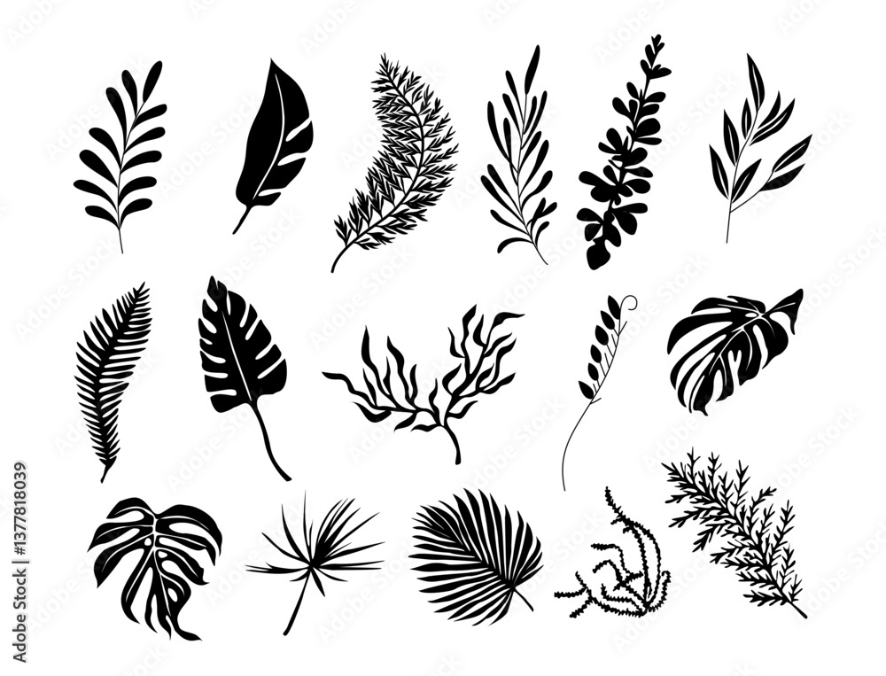 Set of black silhouettes of tropical leaves vector isolated Set of black silhouettes of tropical leaves vector isolated