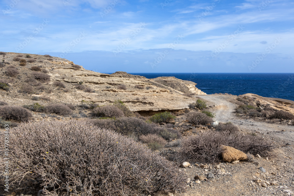 Martian landscape in sunny day in Tenerife, Santa Cruz de Tenerife, Spain
