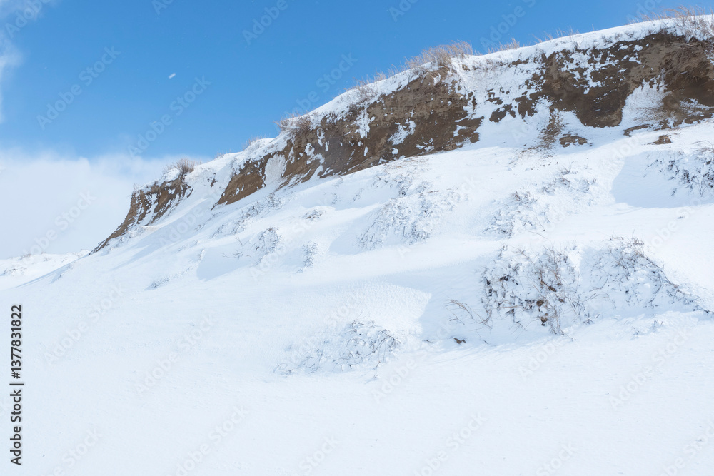 Obraz premium 冬の鳥取砂丘の雪景色 鳥取県 鳥取砂丘