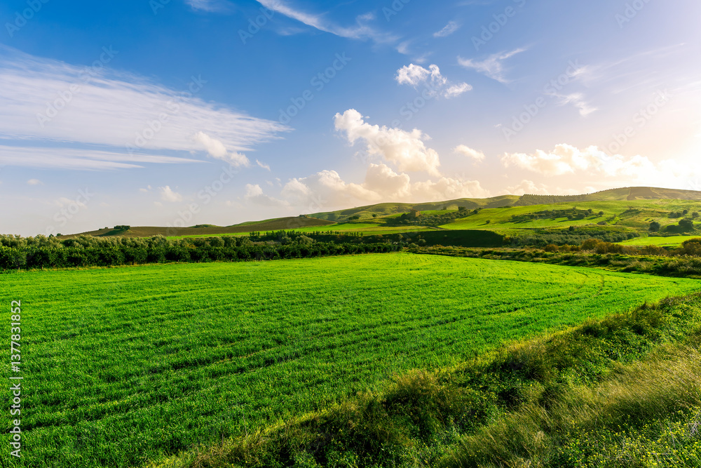 green landscape of spring field with green young grass and amazing hills on background green landscape of spring field with green young grass and amazing hills on background