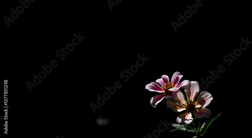 beautiful natural floral background, different kind of floral, created by generative ai