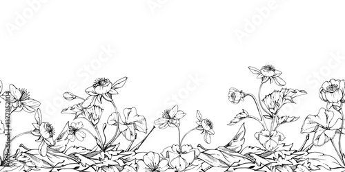 Early spring flowers in dry leaves, white forest cloudberry anemone primrose ephemera, hand drawn vector ink. Seamless banner illustration isolated on white, for wedding, florist shop, scrapbooking