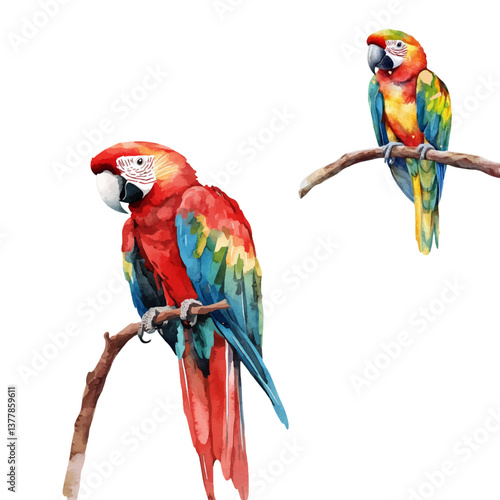 Watercolor vector illustration of colorful parrot on white background