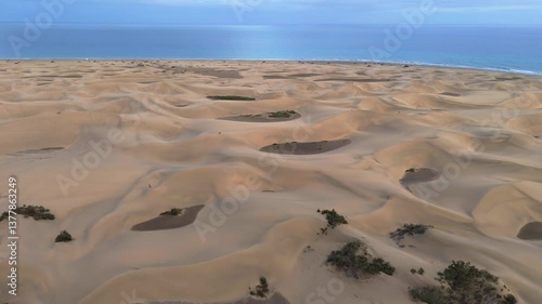 Aerial View Above Maspalomas Desert dunes at Blue Hour, Gran Canaria
