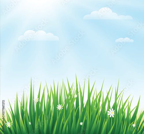 Spring or summer nature background with green grass and flowers
