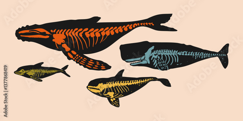 The skeleton of a whale and a dolphin. Trendy vector illustration.