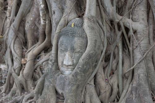 Photos Thailand ruins of Ayuthaya on a cloudy winter day