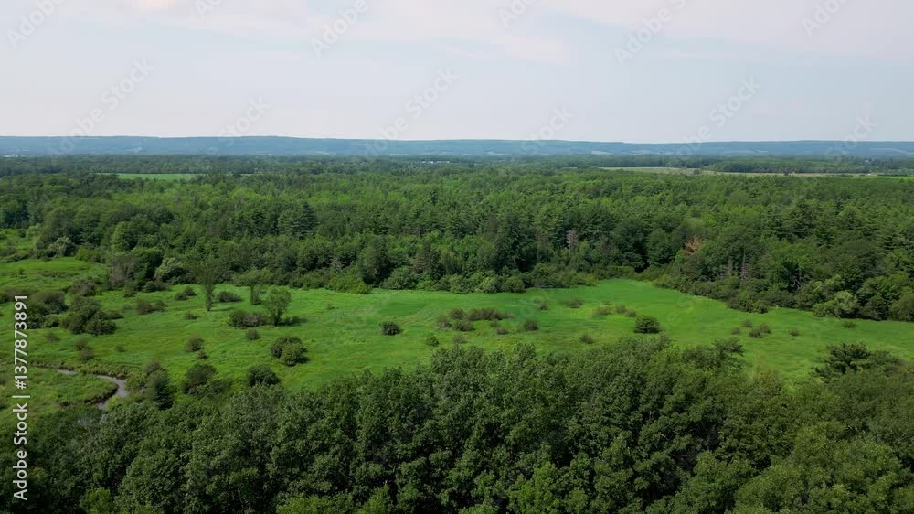 Lush green trees and grass in river valley with rolling hills and farmland fields Lush green trees and grass in river valley with rolling hills and farmland fields