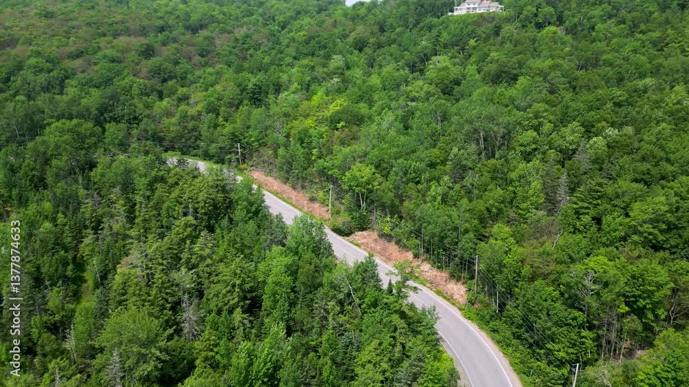 Red convertible sports car driving up winding mountain road cut out from trees