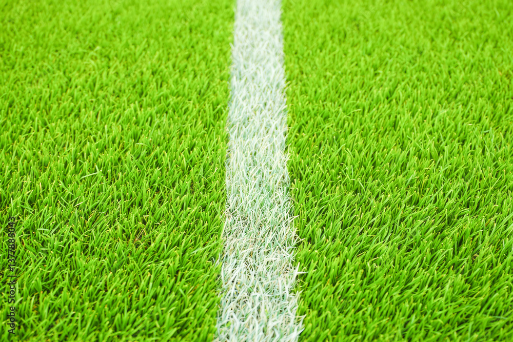 Fototapeta premium Close-up of fresh green grass with white line on sports field