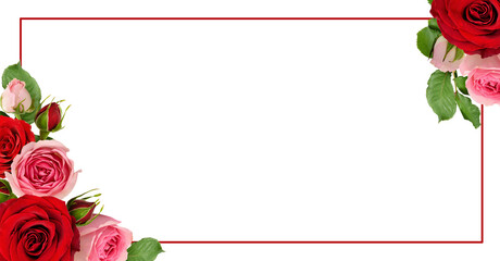 Red and pink rose flowers with green leaves in a corner arrangements with frame isolated on white or transparent background
