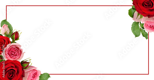 Red and pink rose flowers with green leaves in a corner arrangements with frame isolated on white or transparent background