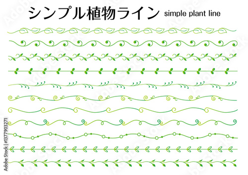 植物ライン、イラスト