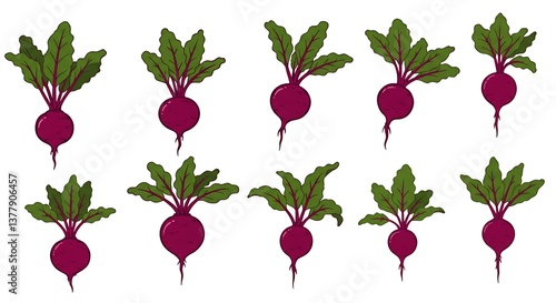 Vibrant Beetroot Illustration Fresh Harvest Bounty AI Generated