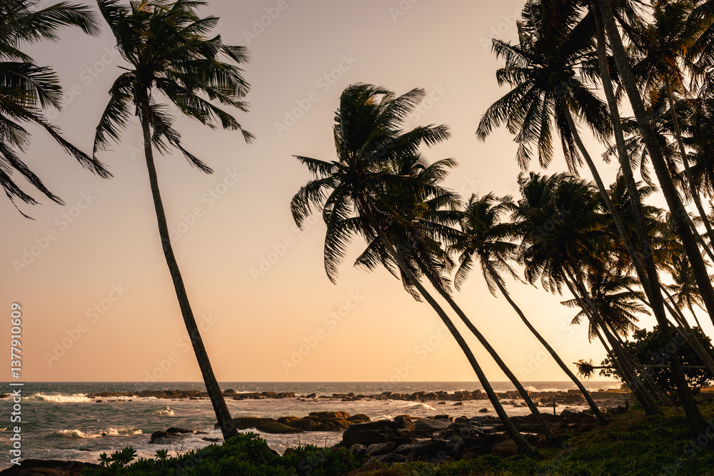 Coastal tropical landscape with palm trees against sunset backdrop. Ocean waves crash onto rocky shores beneath silhouetted palms. World Ocean Day.