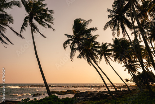 Obraz na płótnie Coastal tropical landscape with palm trees against sunset backdrop. Ocean waves crash onto rocky shores beneath silhouetted palms. World Ocean Day. w salonie