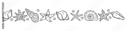 Starfish and shells drawn in flat style. Hand drawn ocean infinity. Vector illustration of sea mollusks on light background.