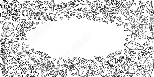 Shells, corals, seaweed and starfish hand drawn, line art border frame, vector illustration isolated on white background.