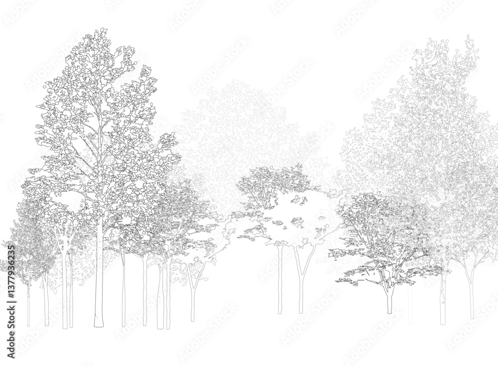 Fototapeta premium Architectural Drawings, Minimal style cad tree line drawing, Side view, set of section wetland forest outline for landscape design drawing. Vector illustration in separate element