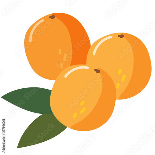 illustration of oranges