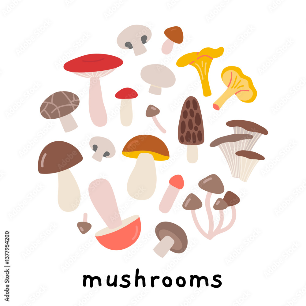 Edible mushrooms in circle shape. Ideal for healthy eating, natural food and organic product concepts. Trendy modern vector illustration isolated on white, hand drawn, flat design Edible mushrooms in circle shape. Ideal for healthy eating, natural food and organic product concepts. Trendy modern vector illustration isolated on white, hand drawn, flat design