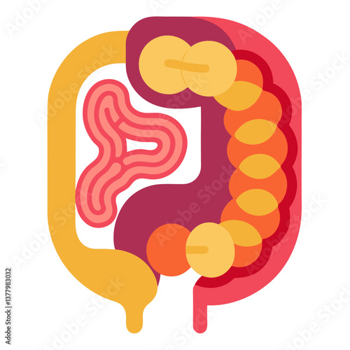 Colorful Flat Design of Human Colon Anatomy with Small Intestine and Large Intestine on White Background