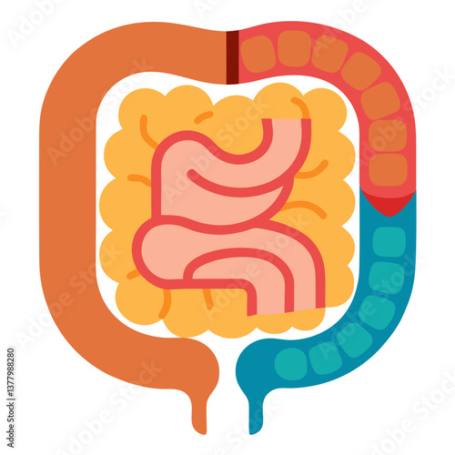 Human Intestine Minimalist Flat Design Anatomy Illustration, Digestive System Health, Bowel Anatomy, Colon, Gut, Healthy Digestion