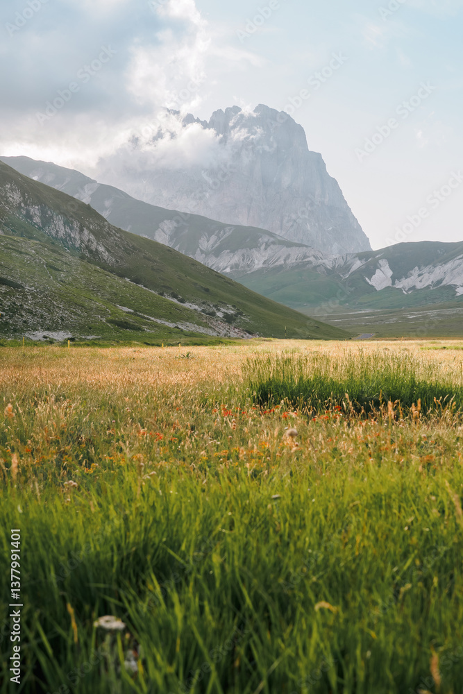 Fototapeta premium Mountain 