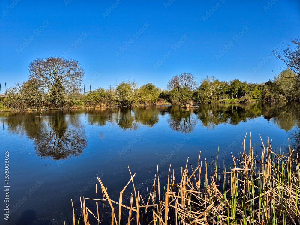 Fototapeta premium Spring landscape with reflection on water over Iremongers Pond near the river Trent in Nottingham, UK.