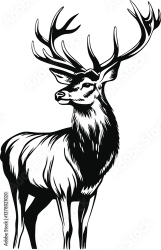 Majestic Stag, Black and White, Antlered Deer, Wildlife Art, Nature Illustration, Forest Animal, Gra