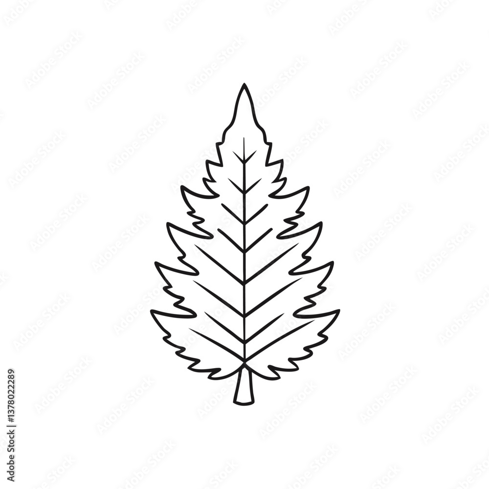 Fototapeta premium Cedar Leaf Vector Illustration – Green Nature Element on White Background