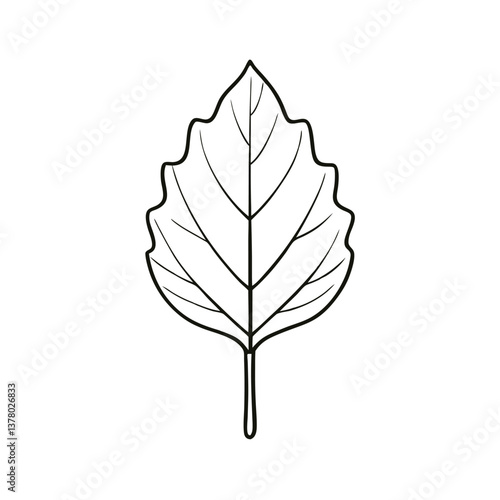 Poplar Leaf Vector – Simple Illustration, Botanical Clipart, Nature Silhouette