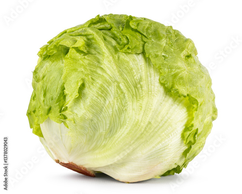 Iceberg lettuce laying side ways. Isolated on a white background