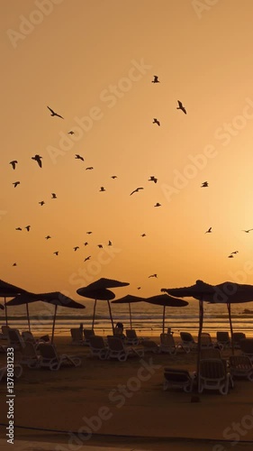 Birds Flying Over Beach at Sunset with Umbrellas in Marocco, Agadir 