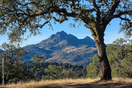 Calaveras County Mountains: Blue Layers of Early Morning Landscape