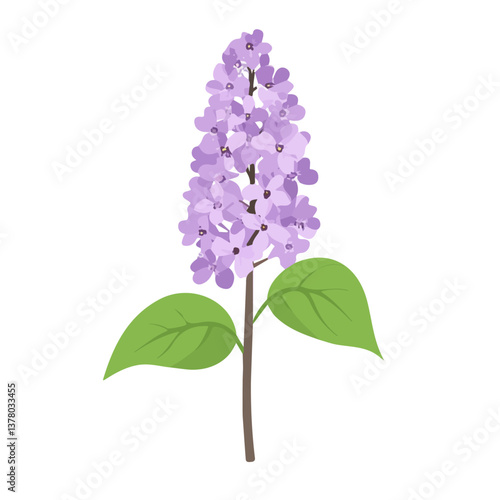 Flat vector lilac flower, minimalist design, isolated on a white background.

