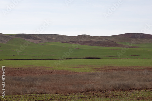 hills and sky full of green grass and red plants