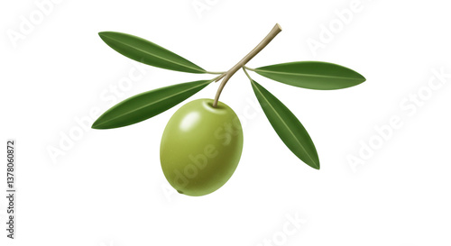 Wallpaper Mural Isolated Green Olive Branch Torontodigital.ca