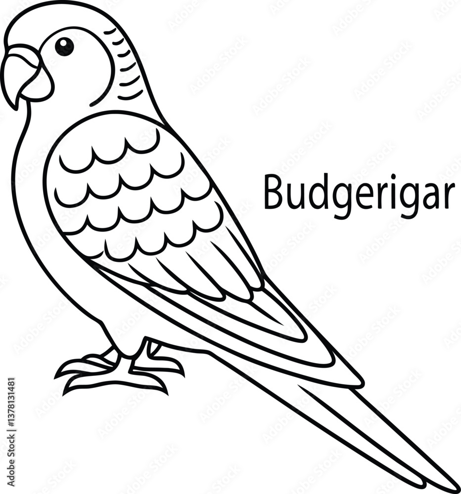 Fototapeta premium Budgerigar Outline Isolated with Transparent Background Style