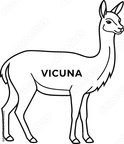Vicuna Outline with Transparent Background, Minimalist Line Art Style