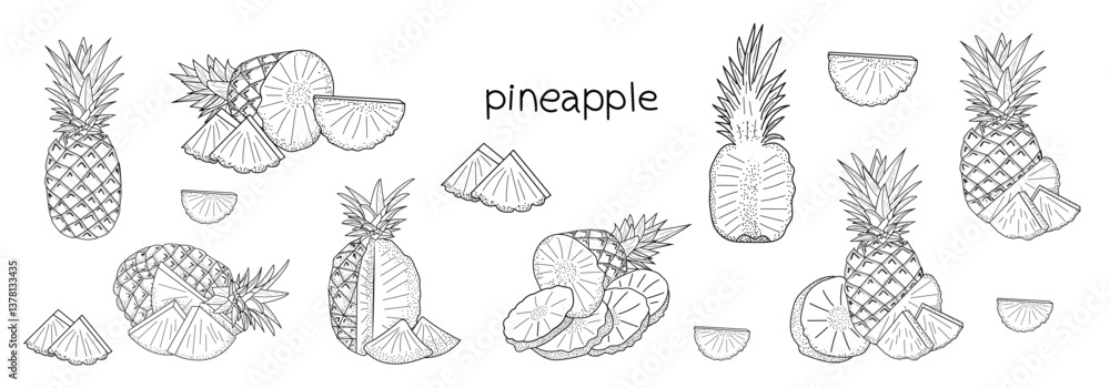 Fototapeta premium Set of vector sketches, pineapple, pineapple in cut, pineapple slices, flat hand drawing, drawing color black white 