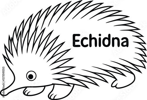 Cartoon Echidna on Transparent Background
