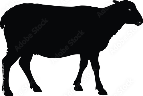 Sheep Silhouette on Transparent Background, Livestock Animal Art