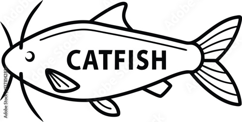 Catfish Outline Illustration, Fish Icon with Fins and Whisker, Transparent