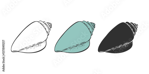 Conch seashell icons, clam shell with spiral shape of wildlife from tropical ocean bottom, seashore sand beach and coral reef.