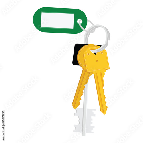 House keys with keychain tag. Rental concept. Vector