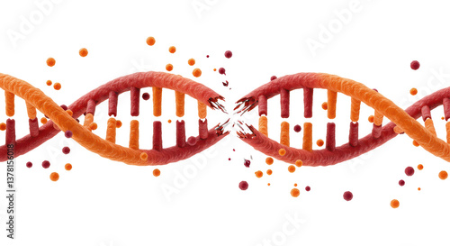 Isolated Broken DNA Strand with Scattered Fragments