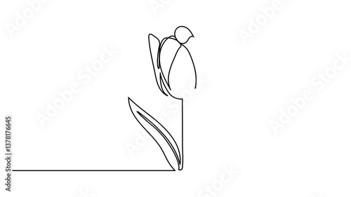 Tulip one line drawing.Abstract flower continuous line. Minimalist contour drawing of tulip. Continuous line drawing of flower tulip.Hand drawn sketch of flower with leaves.