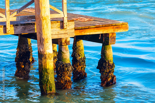 Obraz na płótnie Weathered wooden pier, its posts partially submerged in serene water and coated with mix of algae and barnacles. Scene highlights enduring connection between human construction and marine environment w salonie
